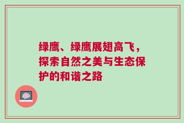 綠鷹、綠鷹展翅高飛，探索自然之美與生態保護的和諧之路