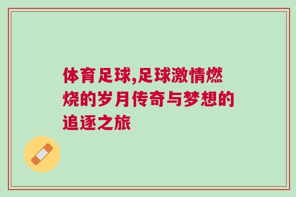 體育足球,足球激情燃燒的歲月傳奇與夢想的追逐之旅