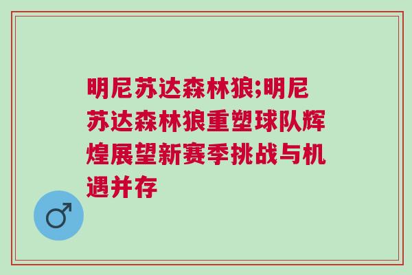 明尼蘇達森林狼;明尼蘇達森林狼重塑球隊輝煌展望新賽季挑戰與機遇并存