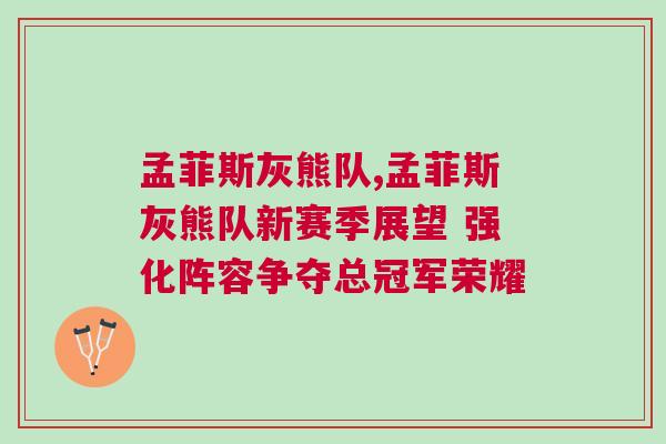 孟菲斯灰熊隊(duì),孟菲斯灰熊隊(duì)新賽季展望 強(qiáng)化陣容爭(zhēng)奪總冠軍榮耀