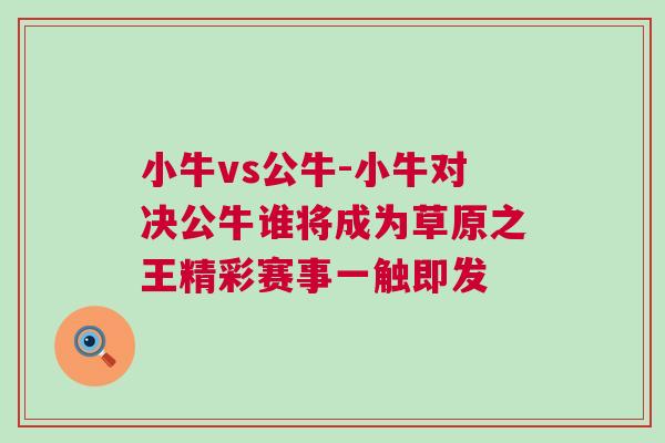 小牛vs公牛-小牛對決公牛誰將成為草原之王精彩賽事一觸即發(fā)