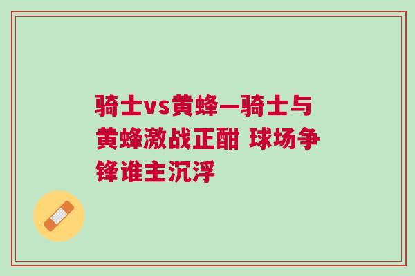騎士vs黃蜂—騎士與黃蜂激戰正酣 球場爭鋒誰主沉浮