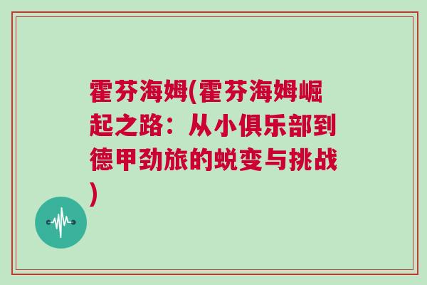 霍芬海姆(霍芬海姆崛起之路：從小俱樂部到德甲勁旅的蛻變與挑戰)