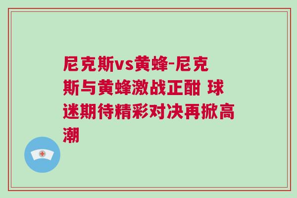尼克斯vs黃蜂-尼克斯與黃蜂激戰正酣 球迷期待精彩對決再掀高潮