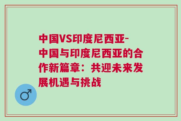 中國VS印度尼西亞-中國與印度尼西亞的合作新篇章：共迎未來發(fā)展機遇與挑戰(zhàn)