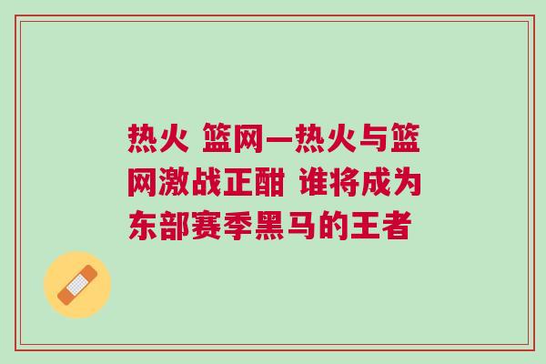 熱火 籃網—熱火與籃網激戰正酣 誰將成為東部賽季黑馬的王者