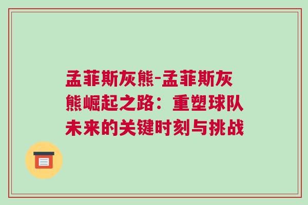 孟菲斯灰熊-孟菲斯灰熊崛起之路：重塑球隊未來的關鍵時刻與挑戰