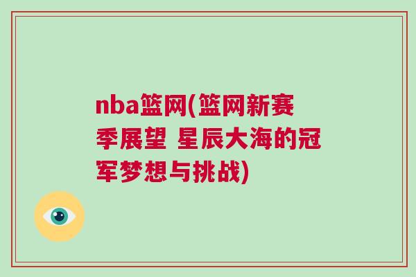 nba籃網(籃網新賽季展望 星辰大海的冠軍夢想與挑戰)