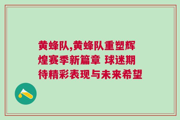 黃蜂隊,黃蜂隊重塑輝煌賽季新篇章 球迷期待精彩表現與未來希望