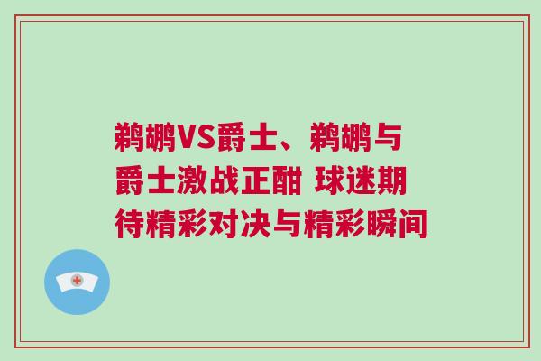 鵜鶘VS爵士、鵜鶘與爵士激戰正酣 球迷期待精彩對決與精彩瞬間 鵜鶘VS爵士、鵜鶘與爵士激戰正酣 球迷期待精彩對決與精彩瞬間