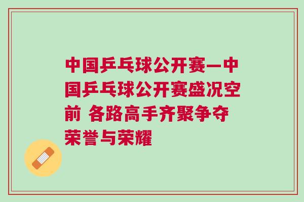 中國乒乓球公開賽—中國乒乓球公開賽盛況空前 各路高手齊聚爭奪榮譽與榮耀