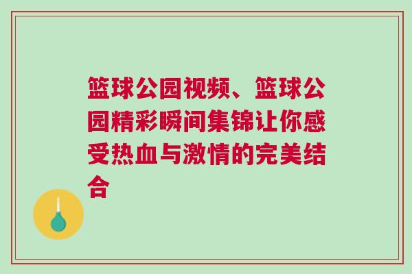 籃球公園視頻、籃球公園精彩瞬間集錦讓你感受熱血與激情的完美結(jié)合