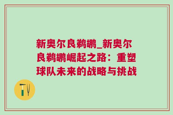 新奧爾良鵜鶘_新奧爾良鵜鶘崛起之路:重塑球隊(duì)未來(lái)的戰(zhàn)略與挑戰(zhàn) 新奧爾良鵜鶘_新奧爾良鵜鶘崛起之路:重塑球隊(duì)未來(lái)的戰(zhàn)略與挑戰(zhàn)