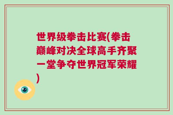 世界級拳擊比賽(拳擊巔峰對決全球高手齊聚一堂爭奪世界冠軍榮耀)