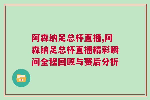阿森納足總杯直播,阿森納足總杯直播精彩瞬間全程回顧與賽后分析