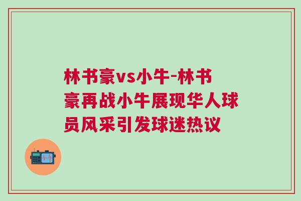 林書豪vs小牛-林書豪再戰小牛展現華人球員風采引發球迷熱議